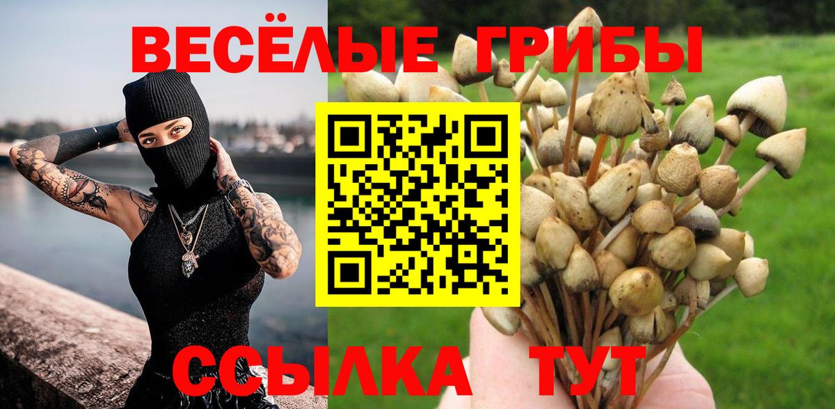 Галлюциногенные грибы мицелий Рославль